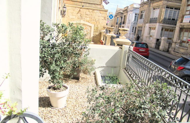 Maltese Maltese - Foto 39