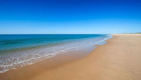 APARTAMENTO Plaza AMERICA - Foto 5