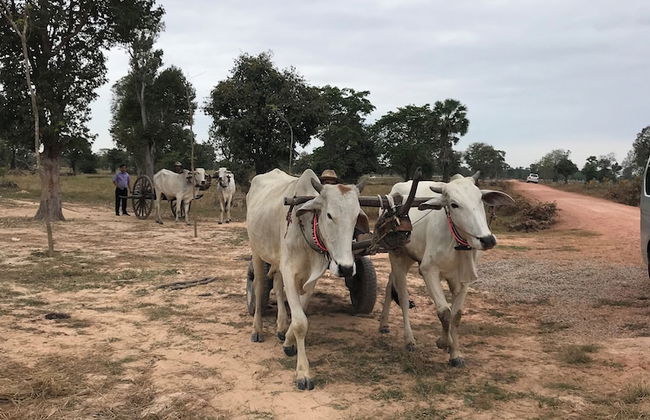 Madam Sokha Homesteading - Foto 58