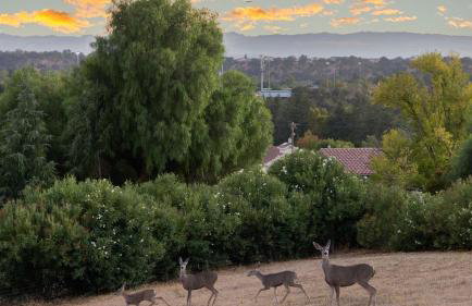 Paso Vista Bella by AvantStay Luxe Group Escape w Wine Country Views - Photo 46