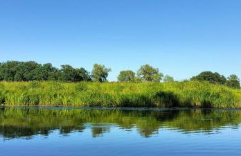 Siedlisko Na Szlaku Odry - Foto 34