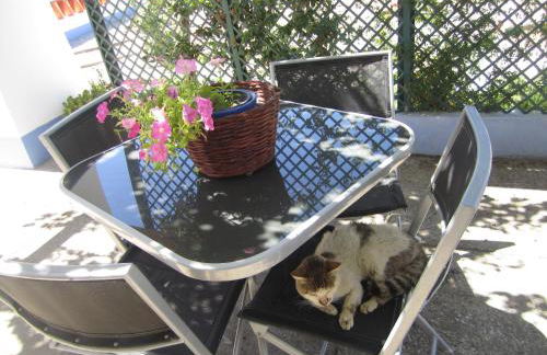 Sol Poente - Foto 51