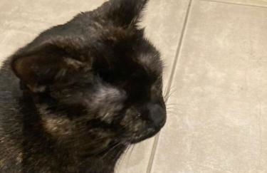 Mini-villa 1 MER - Foto 54