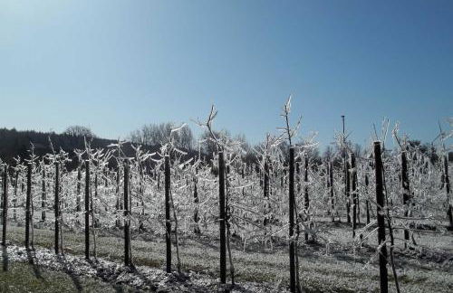 Ferienwohnung Batram - Photo 11