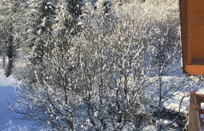 CasaDalsass DolomitiPaganellaLagoMolveno - Foto 14