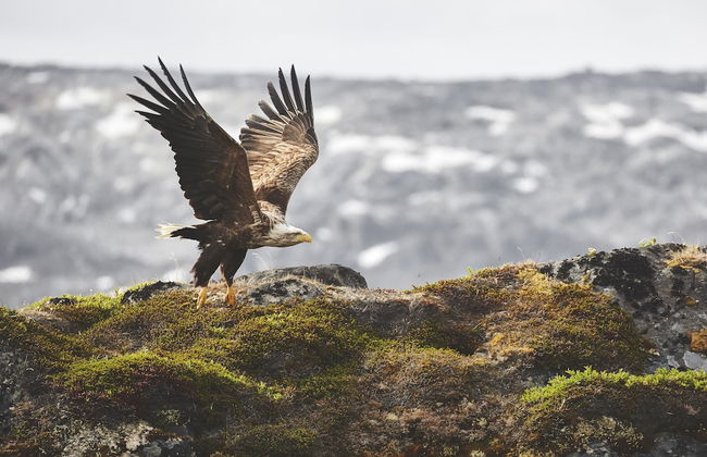 Hotel Nordbo City - Foto 66