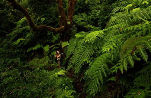 Sagittarius Home - Foto 24