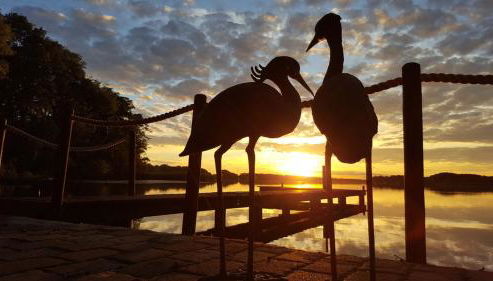 Ferienhaus am Ruppiner See - Photo 5