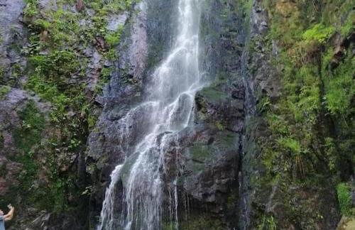 Ferienwohnung Schwarzwaldblick - Photo 26