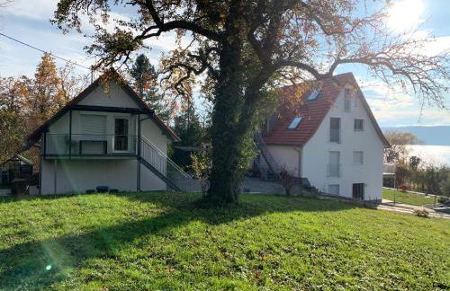 Ferienwohnung Süßenmühle Naturstrand - Foto 16