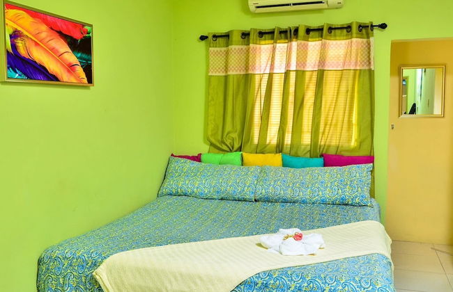 Kingston Sunset Guest Apartment II - Photo 2