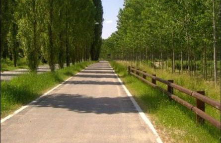 Homecoming apartment - Foto 47