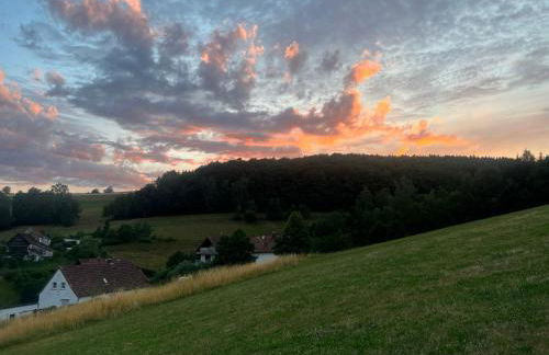 Blockbohlen HolzHaus mit Sauna, Outdoor Jacuzzi und BadeTeich - Foto 72