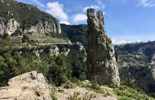 La Libraia - Foto 34