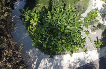 La Fortuna Villa - Award Winning Luxury Villa Close to Corfu Town - Foto 70