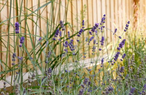 Sanderling House, with parking - walk to beach - Foto 71