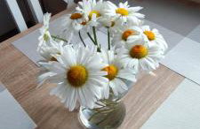 MIODOWA SADYBA Domki całoroczne Kluczbork - Foto 24