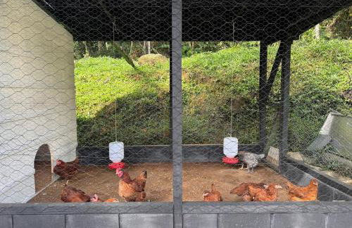 Serra Nevada House - Foto 34