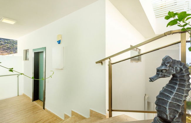 Infinity Mountain - Foto 43