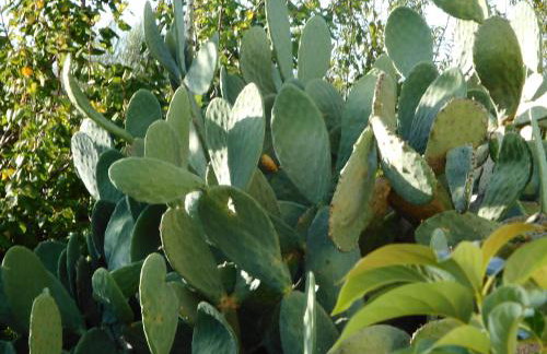 Akroyali Hotel & Villas - Foto 27