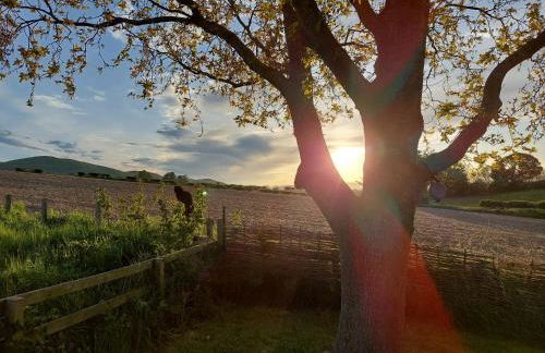 The Humble Hut - Photo 31