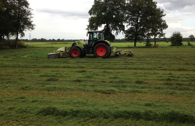 Family Residence With Large Garden - Foto 35