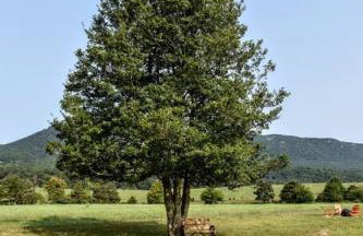 Holly Tree Retreat Located In Beautiful Luray, VA. - Foto 37