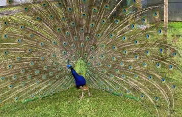 Peaceful Dog Friendly Cottage near Bridlington - Foto 6