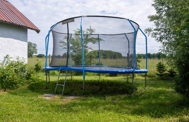 Butterfly Lux - Photo 28