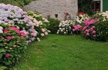 Casa Anita - Foto 14