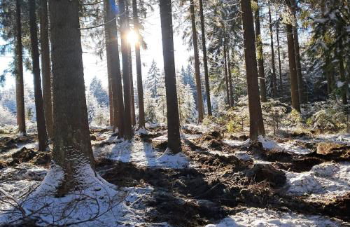 Gemütliche Ferienwohnung mit Sauna und Balkon im Zentrum von Bad Elster - Photo 11
