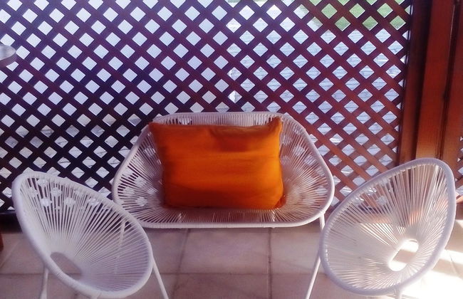 Flor da Laranja - Foto 31