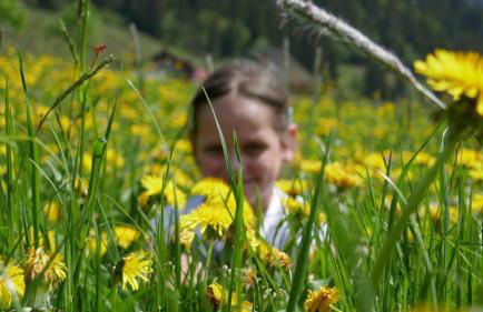 Albingers Landhaus - Photo 45