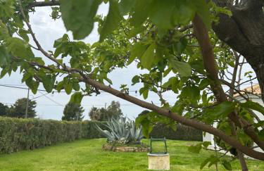 Odysseas rooms - Foto 13