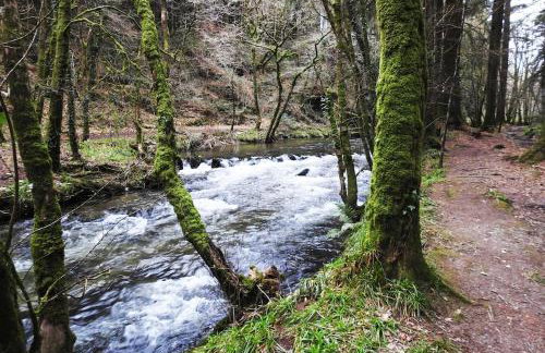 Cargibbitt Annexe - Foto 37