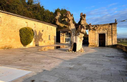 Ancien Château viticole - Foto 48