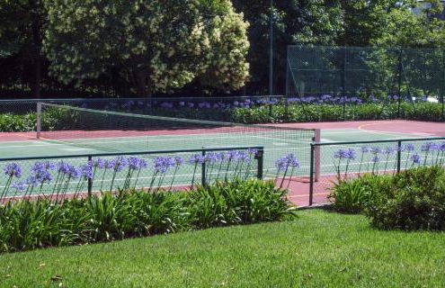 Casa de Assade - Foto 21