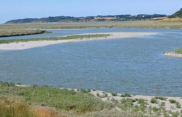 O nid des greves - Foto 34