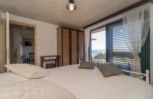 House on Punta - Photo 25