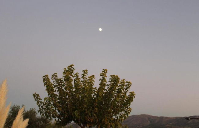 Beautiful Villa Near Sea in Epano Sisi - Photo 26