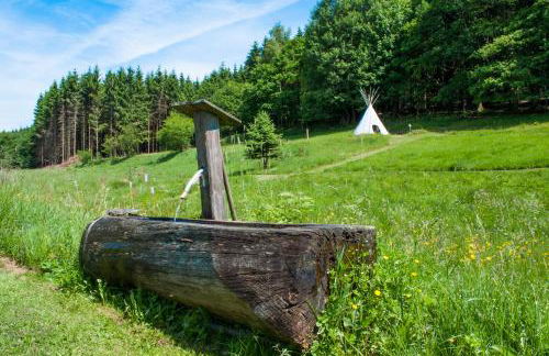 Haus Sohl am Rothaarsteig - Photo 1