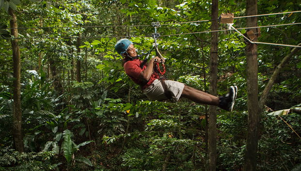 Paseo en tranvía elevado y aventura en tirolina - Foto 2