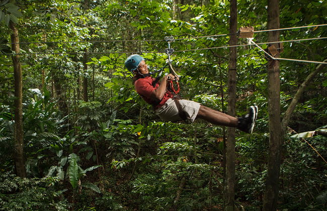 Paseo en tranvía elevado y aventura en tirolina - Foto 2