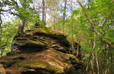 Ferienwohnung Schnegge-Eck direkt am Klingbachrad- und Spazierweg - Foto 14