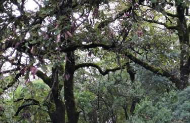 Apartamento Artesano Del Cuero SpaceWorking - Foto 22