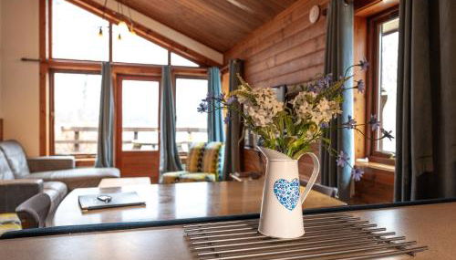 Loch Insh Chalets and Apartments - Foto 3