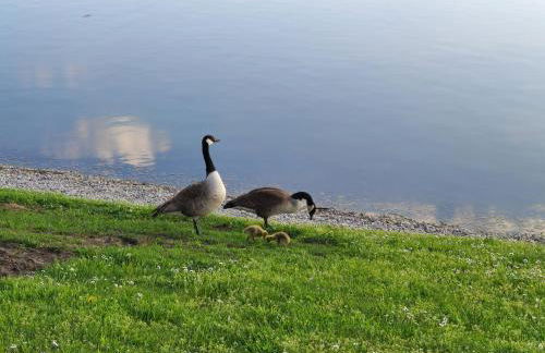 Pension-EINFACHANDERS - Foto 13