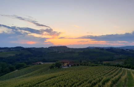 Casa Vacanza Dany House - Foto 13