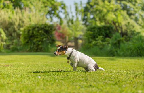 2 Bed in Launceston oc-g31003 - Foto 20