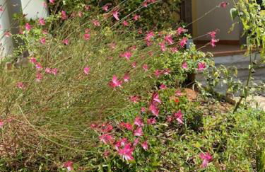 V Apartments - Foto 19